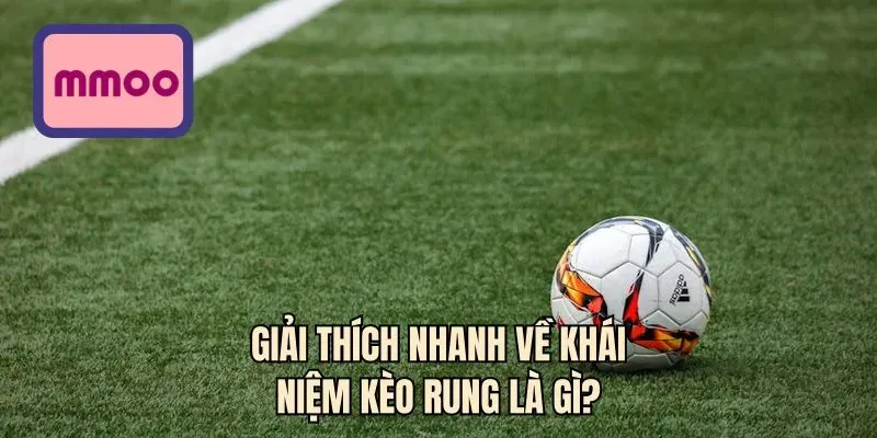 Giải thích nhanh về khái niệm kèo rung là gì?