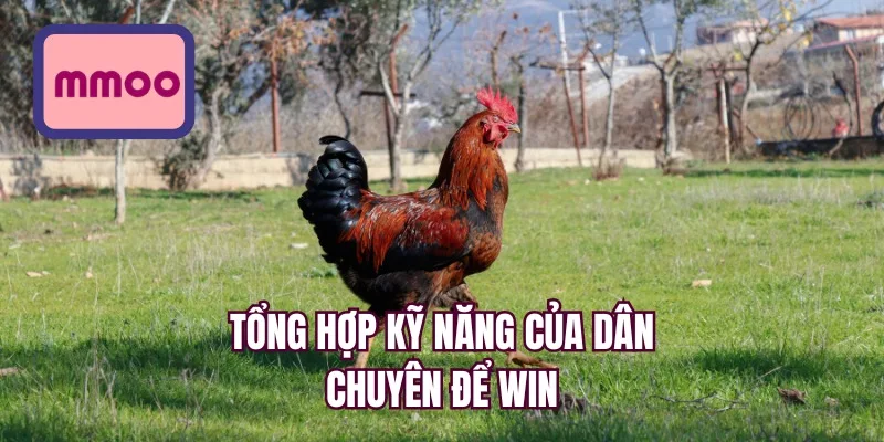 Tổng hợp kỹ năng của dân chuyên để win